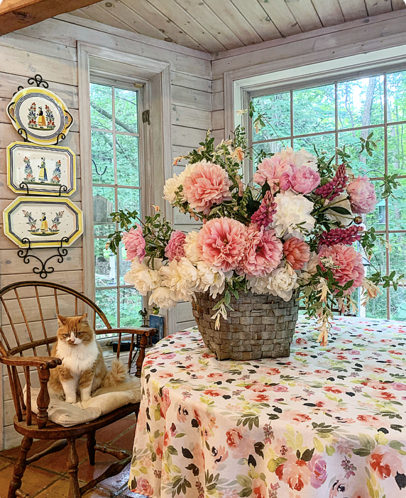 Arrangement floral composé de pivoines dont la pivoine Mary Jo Legare et la pivoine Glowing Raspberry Rose. Dans une cuisine, devant des fenêtres, avec la chatte Miss Whiskey. Copyright: Country Home and Blooms (Céline Arseneault)